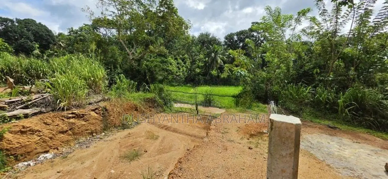 නිසංසල පරිසරයක සුන්දර වෙල්යායකට මුහුණලා අගනා බිම් කොටස විකිනීමට .