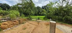 නිසංසල පරිසරයක සුන්දර වෙල්යායකට මුහුණලා අගනා බිම් කොටස විකිනීමට .