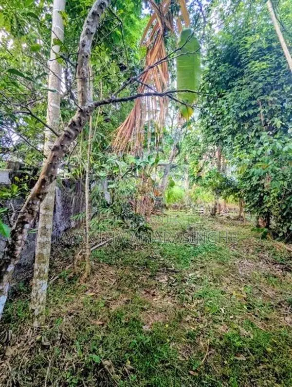A Valuable Land for Sale in Mirigama