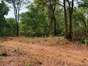හබරණ අක්කර 4ක වටිනා ඉඩමක් විකිණීමට