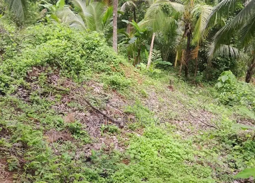 Land Sale in Pugoda