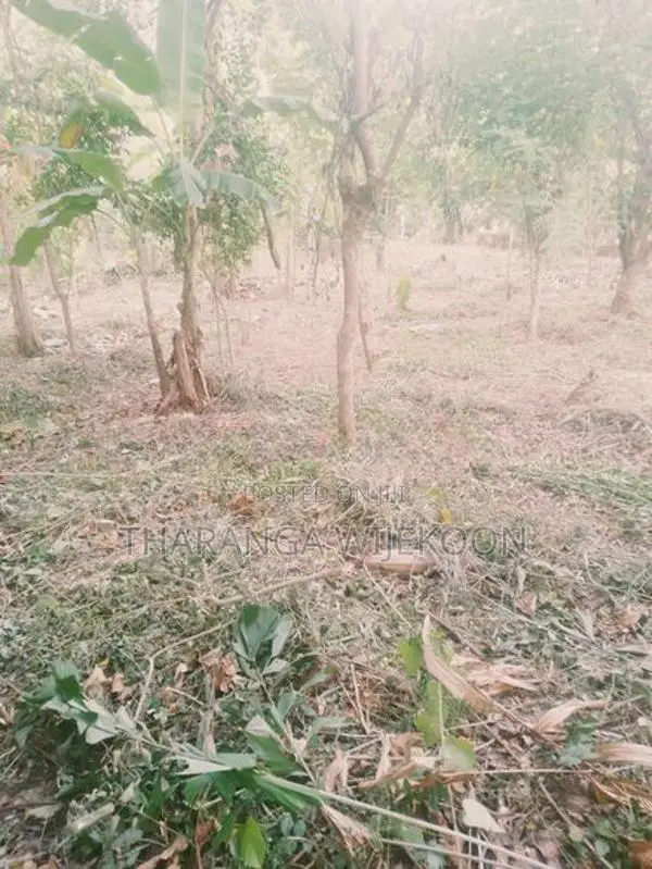 16 Perches Land For Sale Monaragala