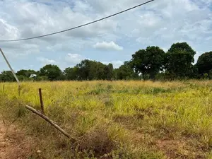 හබරණ – සෙවණගම ප්‍රදේශයෙන් අගනා ඉඩමක් විකිණීමට