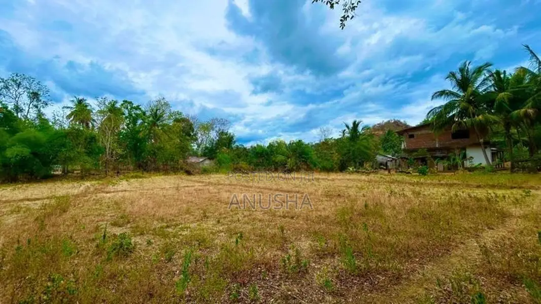 පදිංචියට හෝ වගාවට සුදුසු අක්කර 1ක ඉඩමක් විකිණීමට - මහියංගනය
