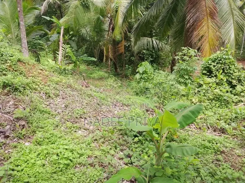 Land Sale in Pugoda