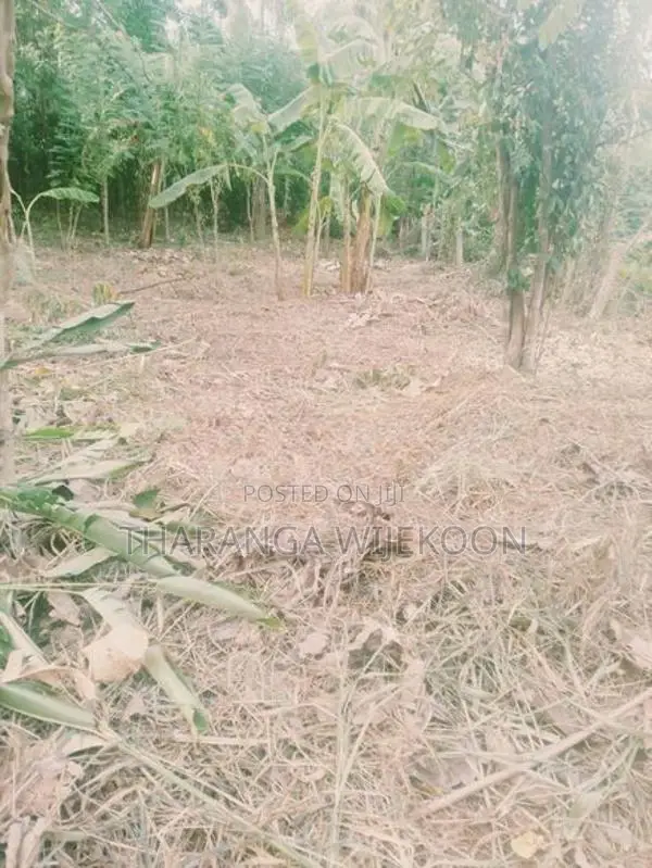 16 Perches Land For Sale Monaragala