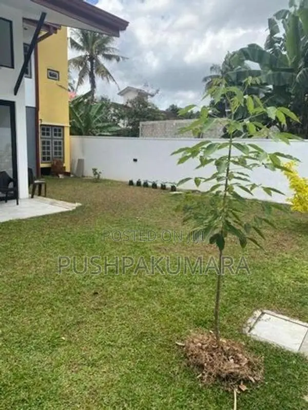 House Rent in Thalawathugoda ( File No 5599 B) Weli Road