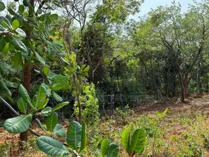 හබරණ අක්කර 4ක වටිනා ඉඩමක් විකිණීමට