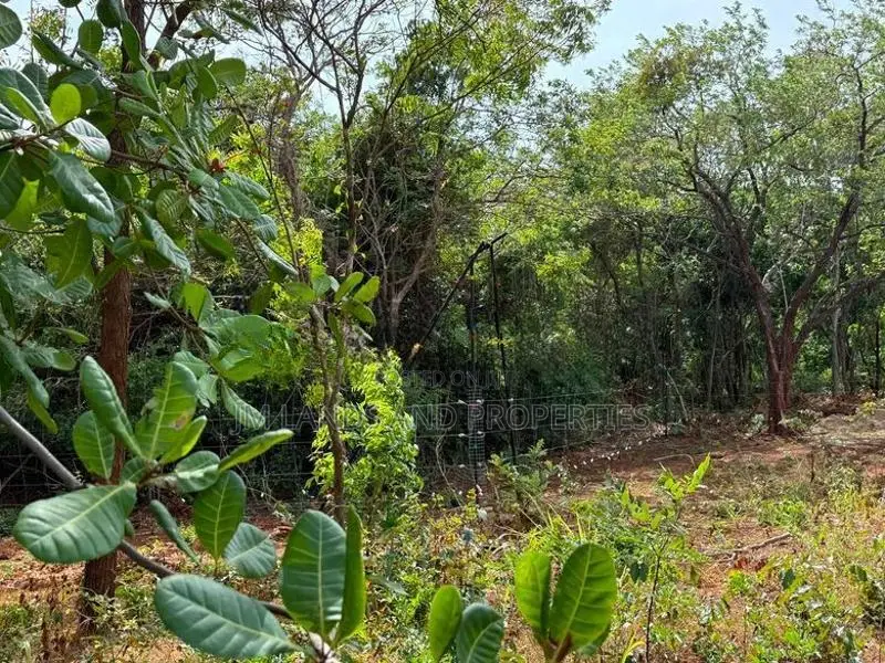 හබරණ අක්කර 4ක වටිනා ඉඩමක් විකිණීමට