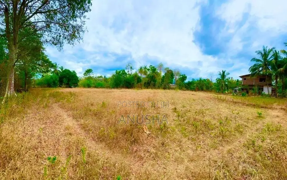 පදිංචියට හෝ වගාවට සුදුසු අක්කර 1ක ඉඩමක් විකිණීමට - මහියංගනය
