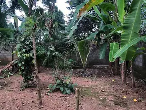 Land for Sale in Kindelpitiya Kesbewa