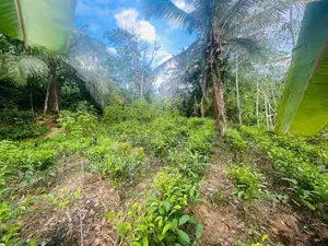 House with Land Sale - Imaduwa