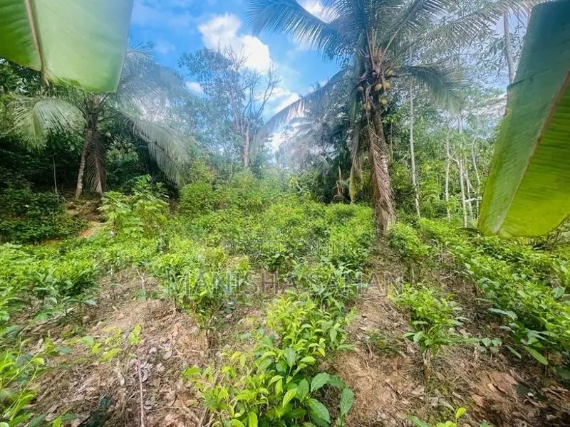 House with Land Sale - Imaduwa