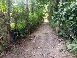​පොතුහැරින් පර්චස් 41 ක වටිනා ඉඩමක් විකිණීමට