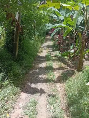 ​පොතුහැරින් පර්චස් 41 ක වටිනා ඉඩමක් විකිණීමට