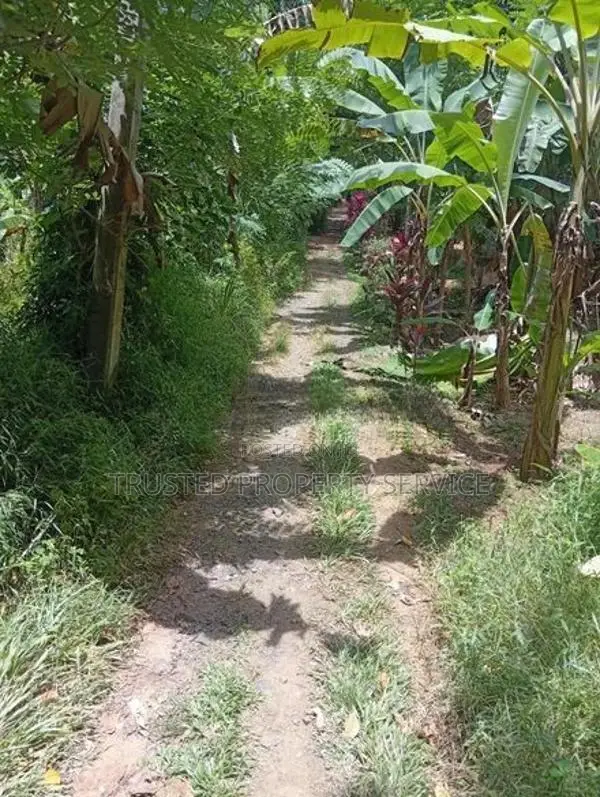 ​පොතුහැරින් පර්චස් 41 ක වටිනා ඉඩමක් විකිණීමට