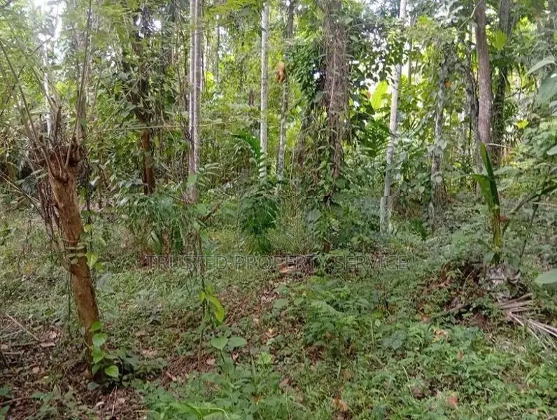 ​පොතුහැරින් පර්චස් 41 ක වටිනා ඉඩමක් විකිණීමට