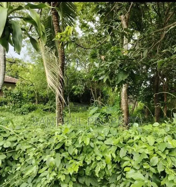 Prime Land for Sale – Rathmalana, Srimal Uyana Damma Dara Road