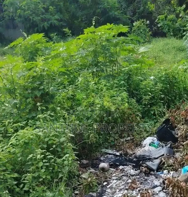 Prime Land for Sale – Rathmalana, Srimal Uyana Damma Dara Road