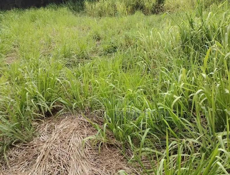 Prime Land for Sale – Rathmalana, Srimal Uyana Damma Dara Road