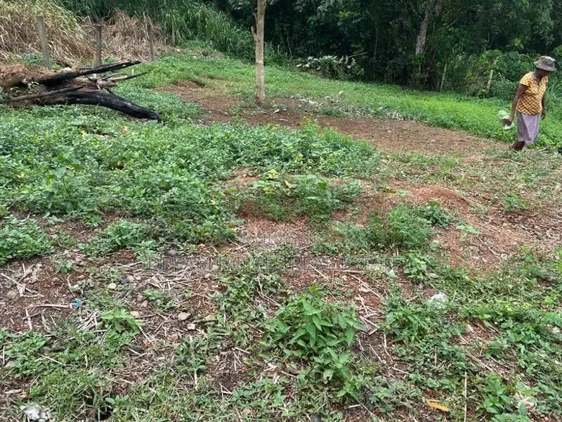 10.1 Perch Residential Land for Sale – Athurugiriya