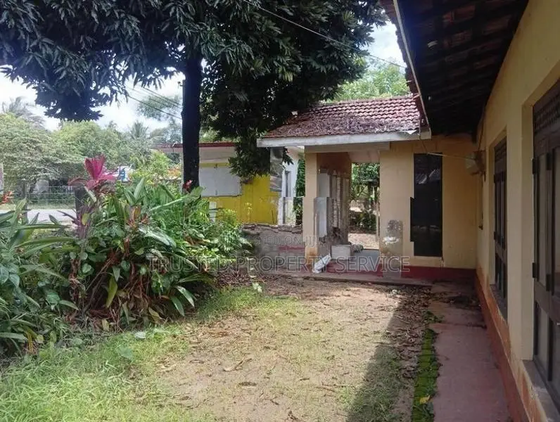 House with Land for Sale Narammala