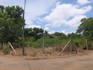 Land for Sale Tellippalai