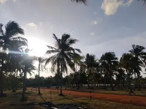 අනුරාධපුර නාච්චාදූව ඉඩමේ බිම්කොටස් 10