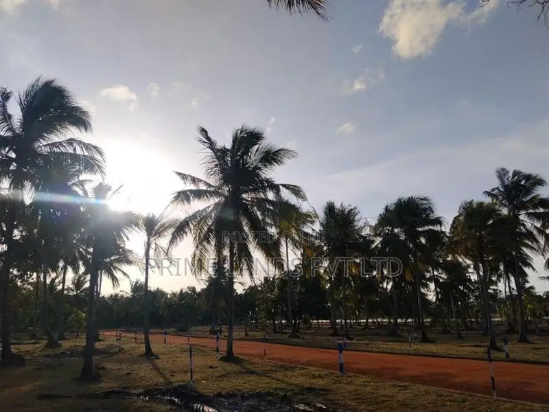 අනුරාධපුර නාච්චාදූව ඉඩමේ බිම්කොටස් 10