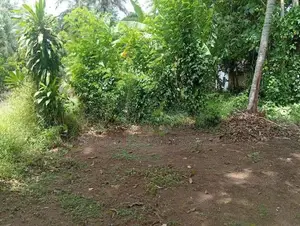 House for Sale Kalugamuwa