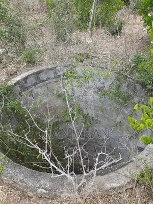 Land for Sale Tellippalai