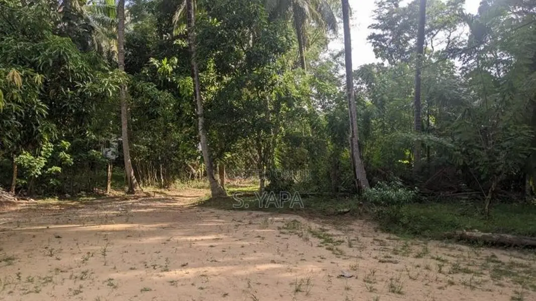 House with Land for Sale in Thissa Road, Wellawaya