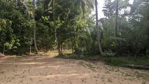 House with Land for Sale in Thissa Road, Wellawaya