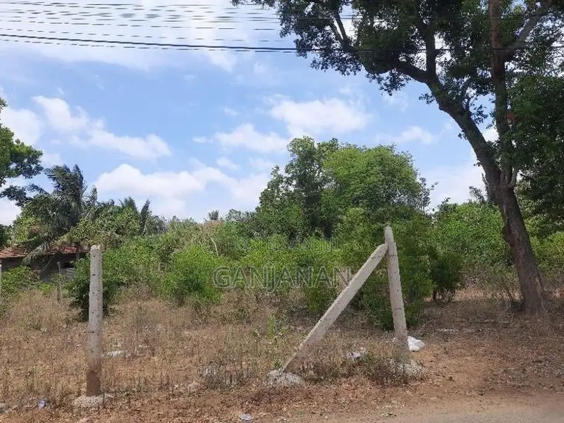 Land for Sale Tellippalai
