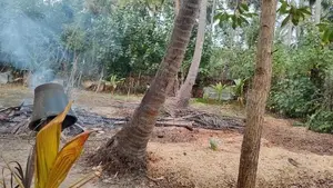 2 பரப்பு காணி விற்பனைக்கு உண்டு