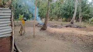 2 பரப்பு காணி விற்பனைக்கு உண்டு
