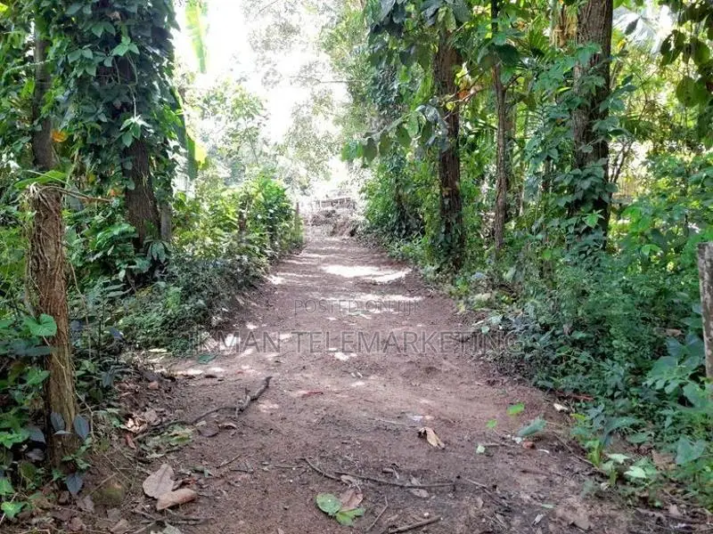 52 Perches Residential Land for Sale in Dodangoda