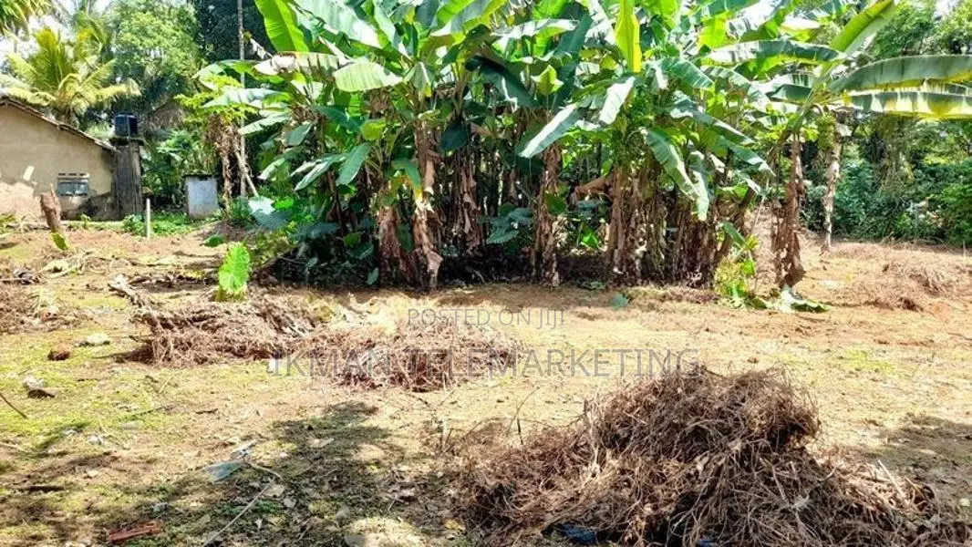 52 Perches Residential Land for Sale in Dodangoda