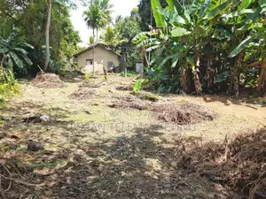 52 Perches Residential Land for Sale in Dodangoda