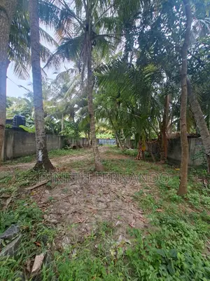 44 Perch Lagoon Side Land for Sale in Negombo