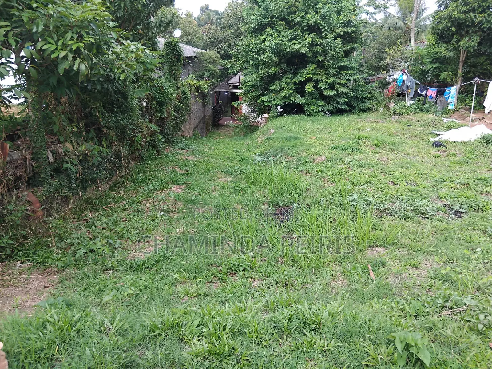 Home and Land Sale