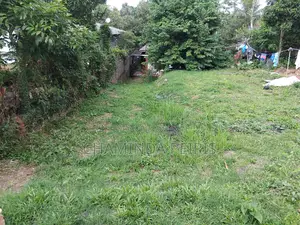 Home and Land Sale