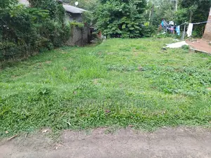 Home and Land Sale