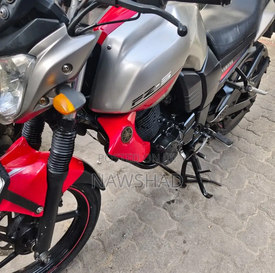 Yamaha FZ 2011 Silver