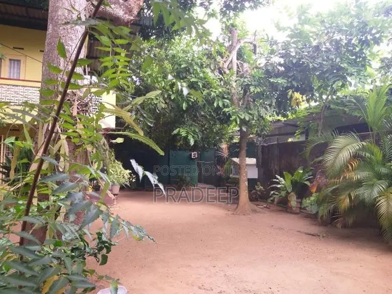 Land For Sale In Peliyagoda