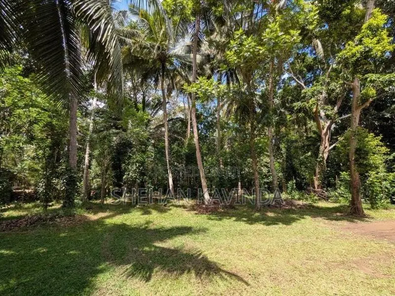 ඉඩමක් විකිනීමට Wellawaya
