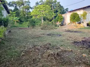 Ten Perches Land For Sale In Homagama