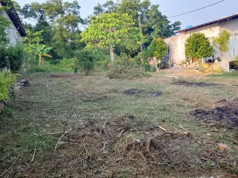 Ten Perches Land For Sale In Homagama