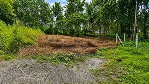 Land for Sale Kaduwela