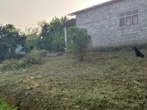 Ten Perches Land For Sale In Homagama